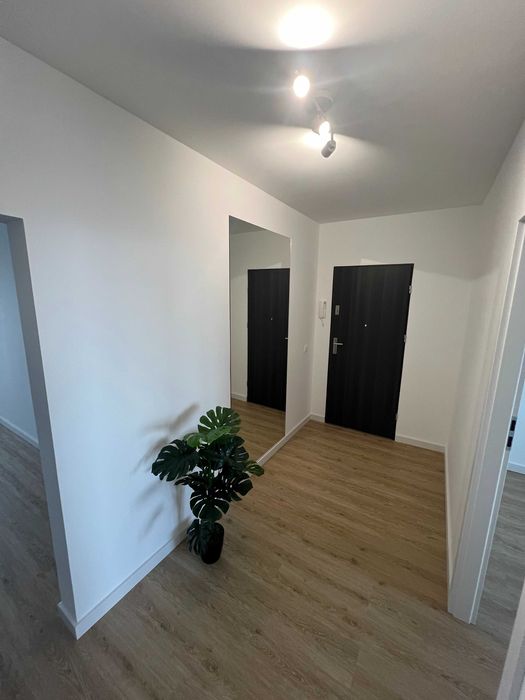 WOŹNIAK - USŁUGI REMONTOWE/ Szczecin, Mierzyn i okolice. PL/EN/DE