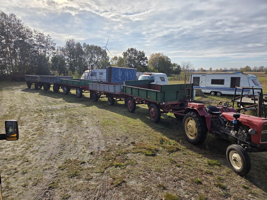Autosan D44 Zarejestrowana przyczepa rolnicza Złoczew transport