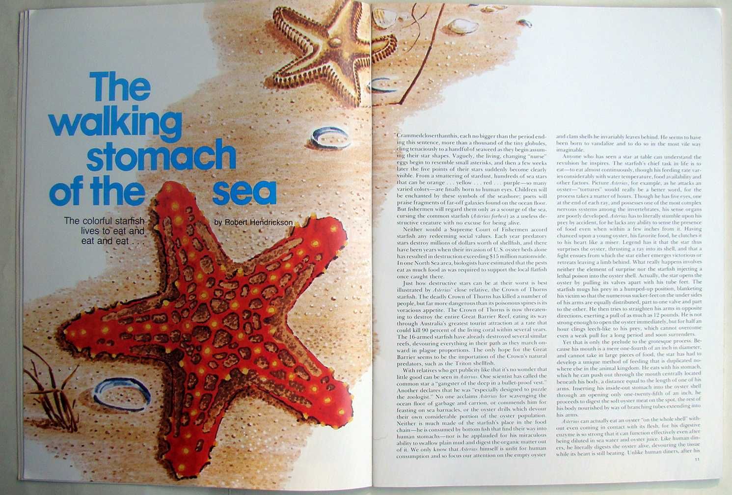 The Compass. A Magazine of the Sea