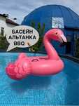 Яскравий будинок для вечірок та свят з басейном Domeparty