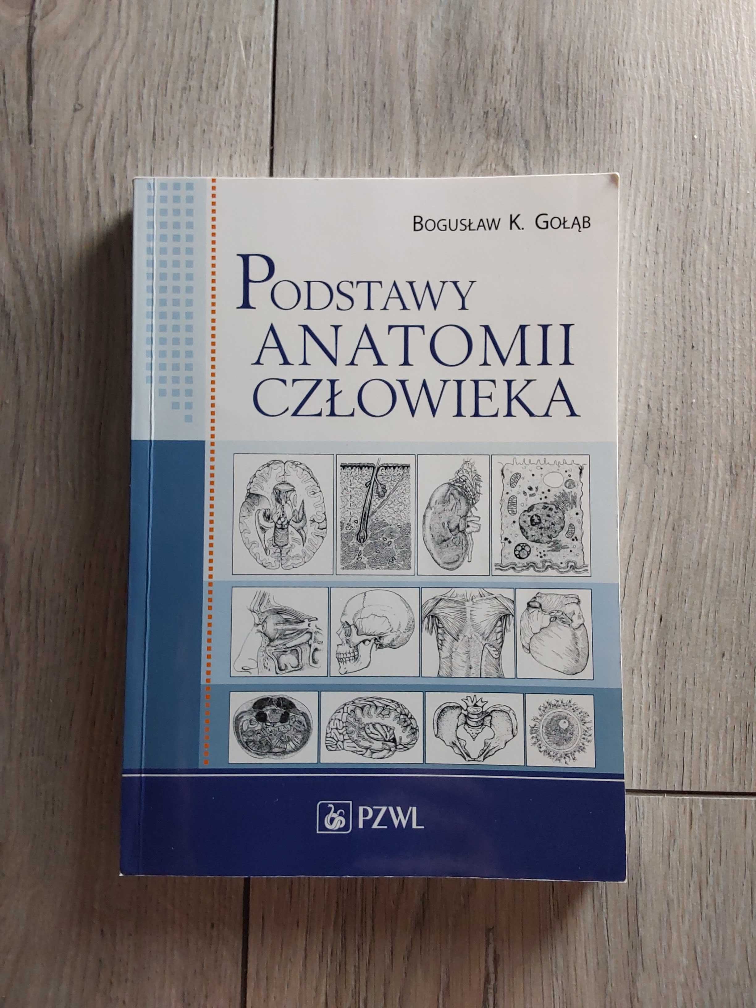 Podstawy anatomii człowieka Gołąb *2015*