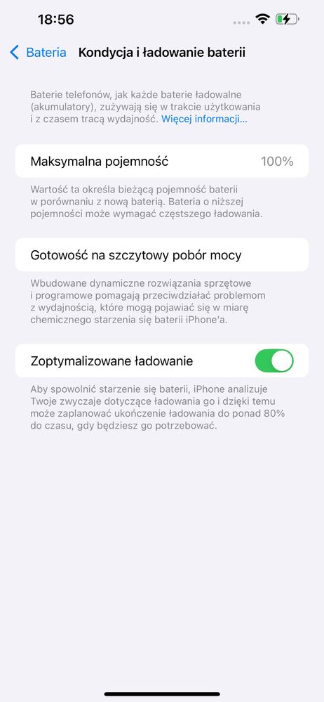 Iphone 13 Pro Max 256 GB Złoty 100% kondycja baterii