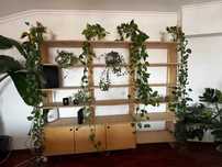 Estante modular em pinho com portas deslizantes – 2,42 m × 2,35 m
