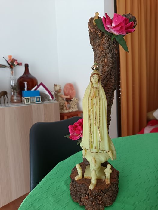 Imagem Sr. Fátima fluorescente