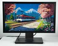 Niezawodny monitor do pracy Dell P2211HT 22" 1920x1080 px