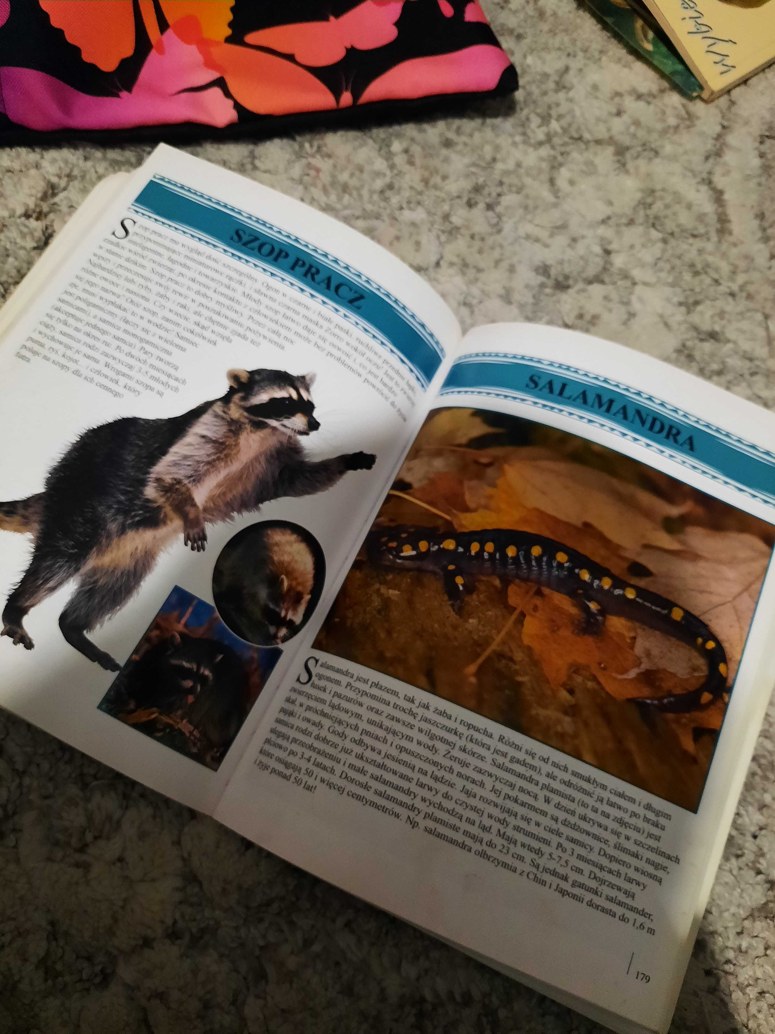 Encyklopedia zwierząt książka dla dzieci okładka 3D