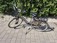 Gazelle rower miejski