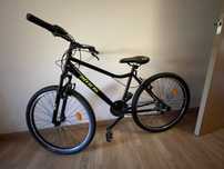 Bicicleta para adulto nova