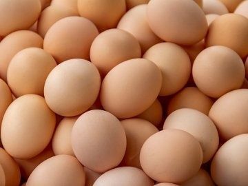 Продам домашнє яйце