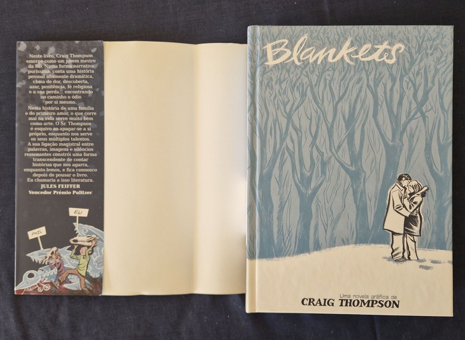 Livro "Blankets", Craig Thompson