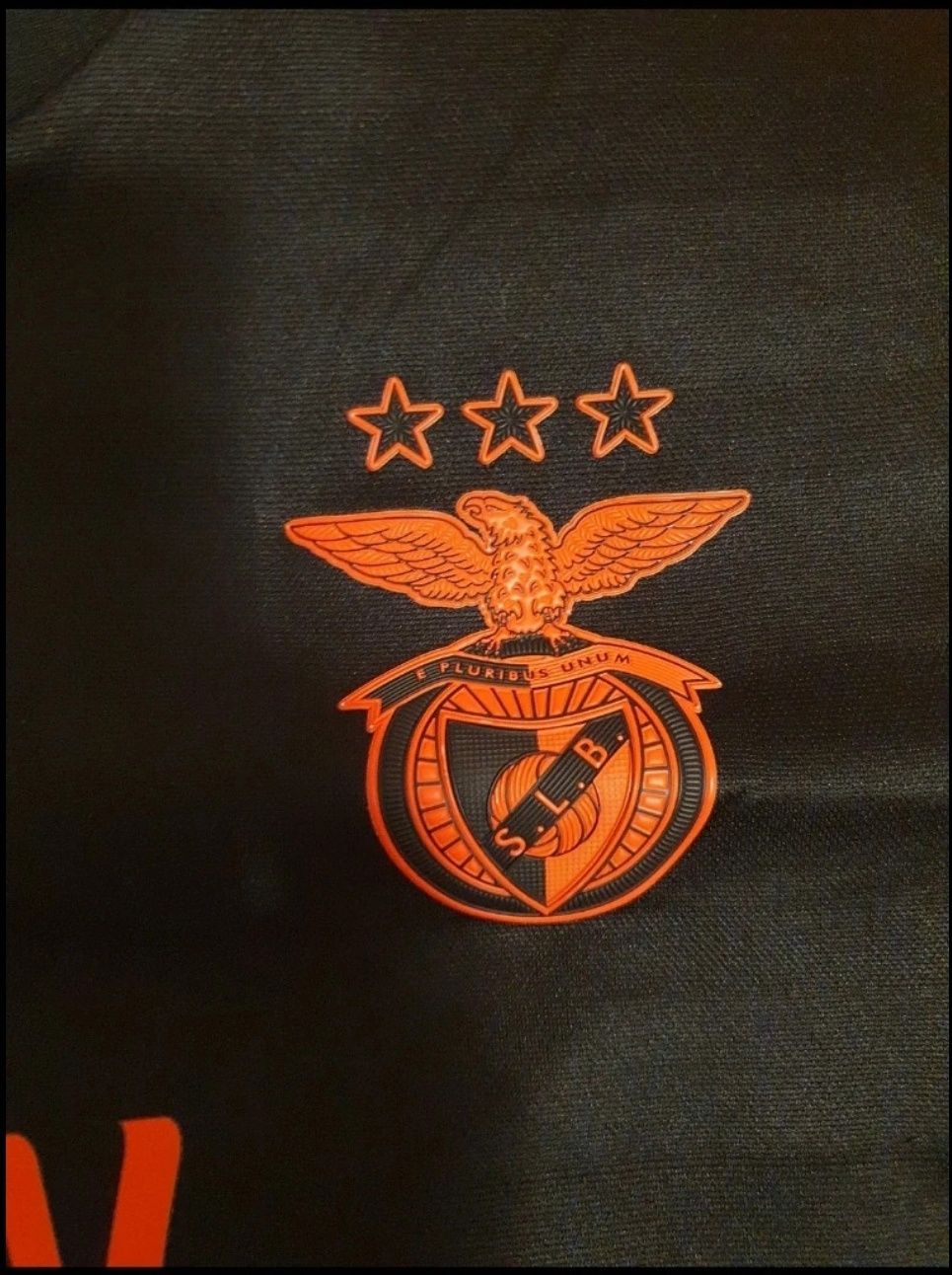 Camisola oficial do Benfica.
Equipamento secundário