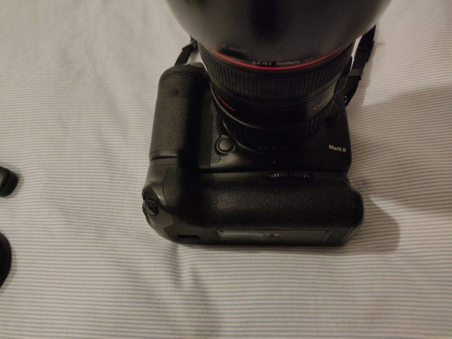 Canon 7D Mark II + 24-105 F/4 + 50 mm F/ 1.8 + Meike Grip