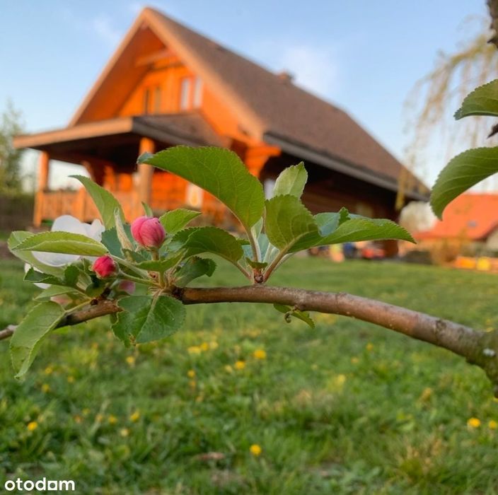 Wyjątkowy dom z bala - bez pośredników, prywatnie