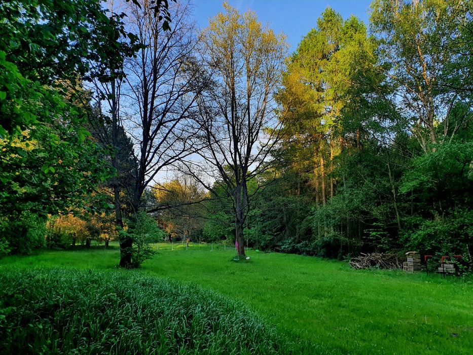 Działka Rydzynki Tuszyn obok Zofiówka 1500 metrów NOWA 1