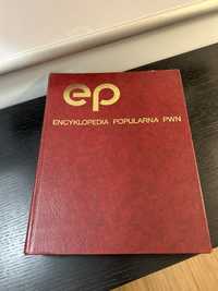 Encyklopedia Popularna PWN 1991 rok