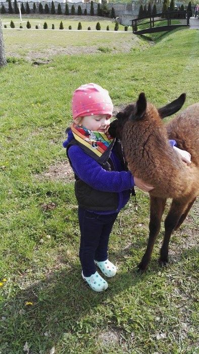 Agroturystyka Nad jeziorem , wędkowanie ,noclegi, atrakcje dla dzieci