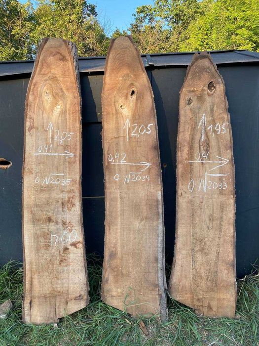 Розпродаж Слеб, сляб, орех, акация корінь ореха поперечний срез