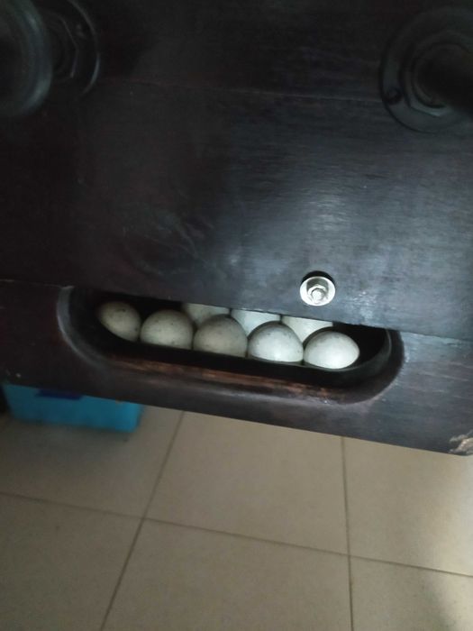 Matraquilhos originais usados 2 vezes promoção Braga 150€