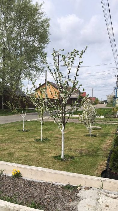 Будинок на 5 сотках масив Корчі. Білогородка