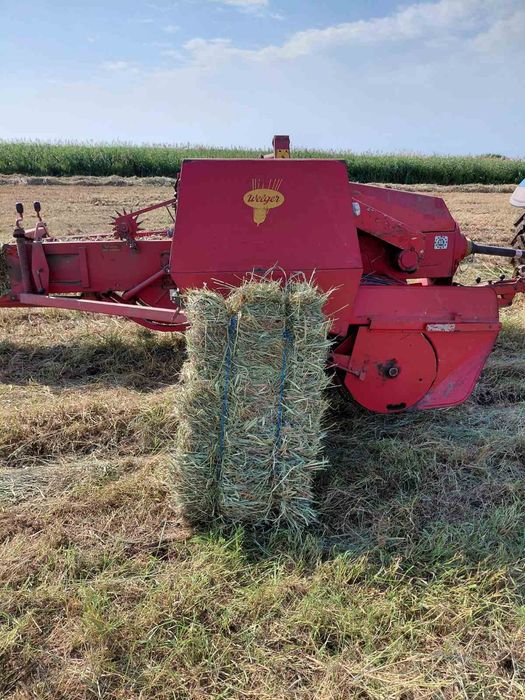 Сіно в тюках, 2025
