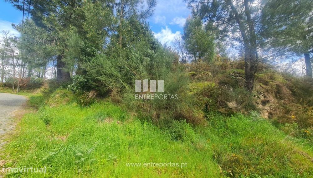 Venda Terreno, Sta. Marinha do Zêzere, Baião