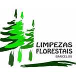 Limpeza terrenos silvicultura limpeza florestal