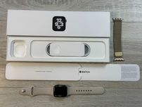 Apple Watch Ediition Series 6 40mm Gold Stainless Steel Milanese Loop