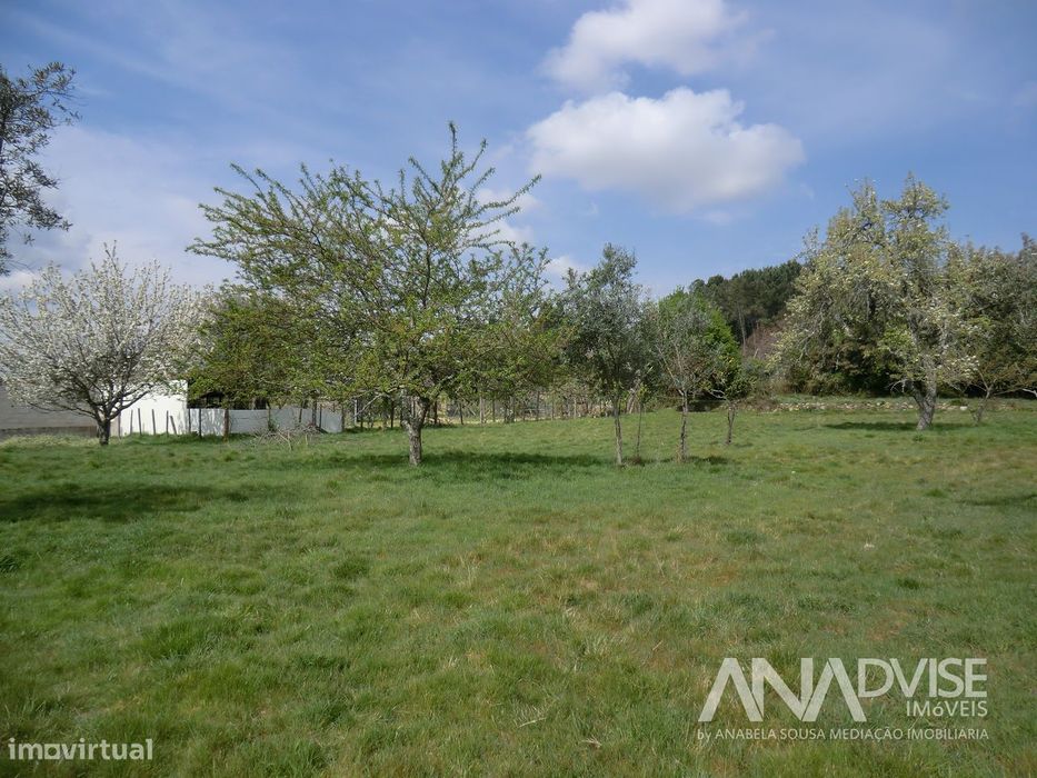 Moradia para Restaurar T1 Venda em Campo,Viseu