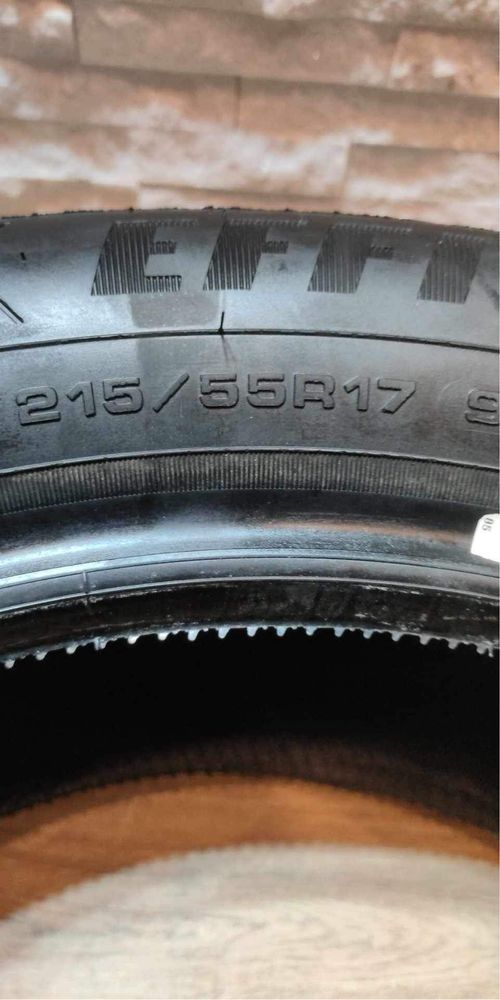 Goodyear Efficientgrip Performance