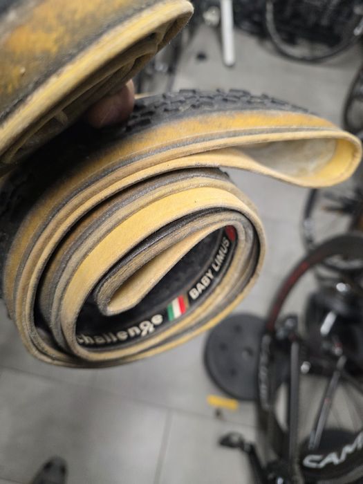 Challenge Baby Limus