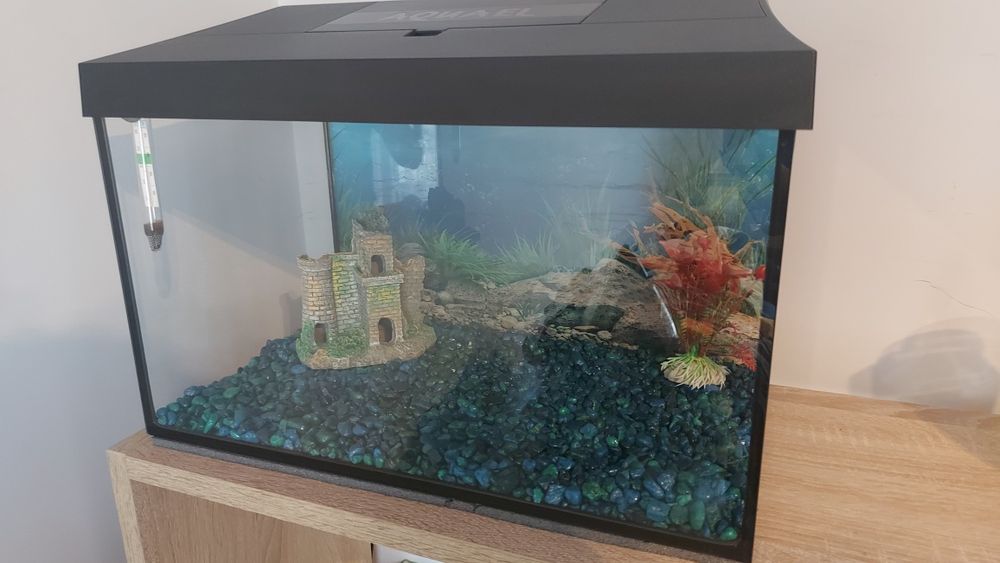 Akwarium  25 litrowy