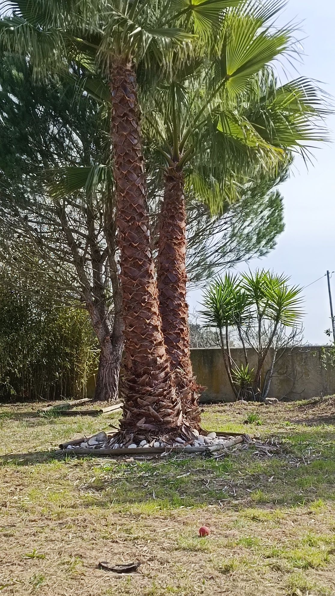 Limpeza e manutenção de terrenos e jardins