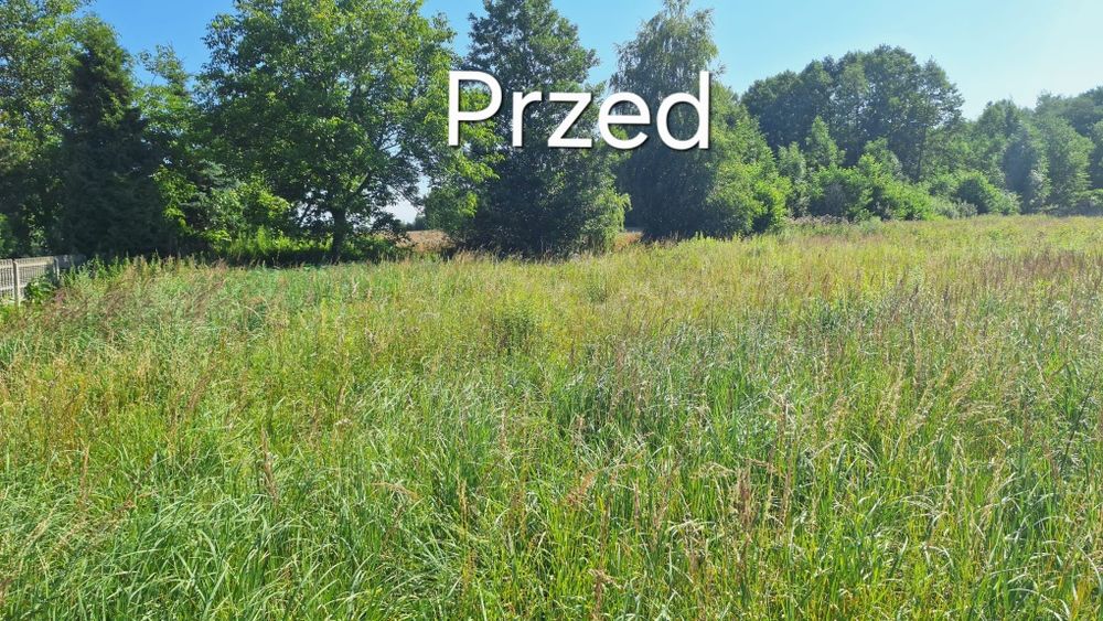 Mulczowanie, Wycinka drzew, Czyszczenie działek, Mulczer