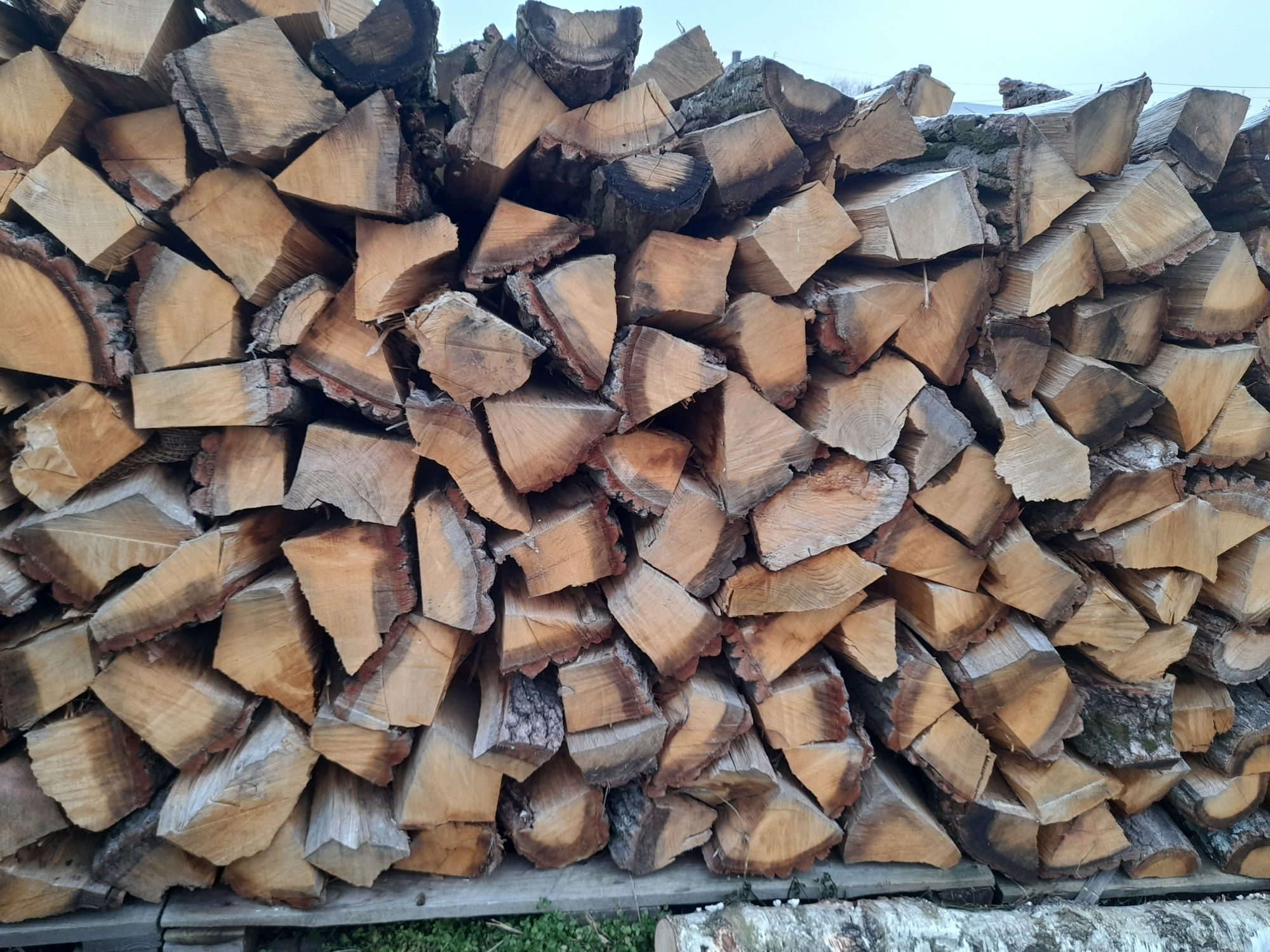 Drewno opałowe/kominkowe - Dąb