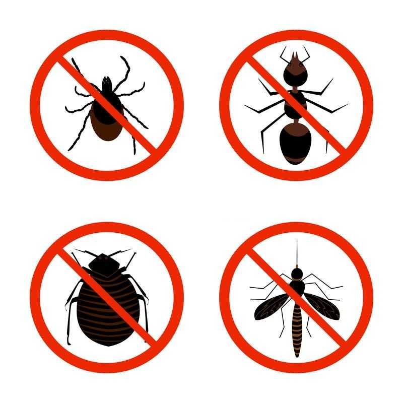Opryski,kleszcze,komary,pająki,mrówki,korniki i inne owady