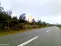 Terreno Florestal em Real - Castelo de Paiva