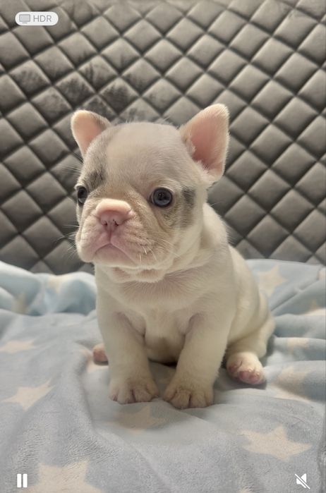 Надзвичайні малята