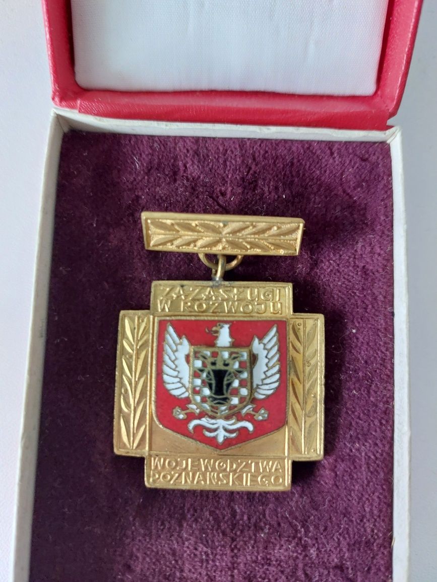 Odznaka za zasługi w rozwoju województwa poznańskiego