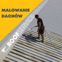 Roof Service - Malowanie dachu, mycie dachu dachów