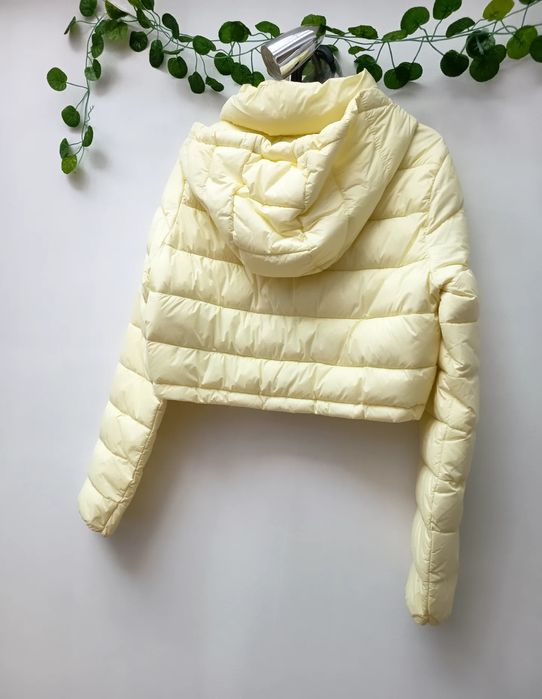 Quispo Amarelo Claro e Curto