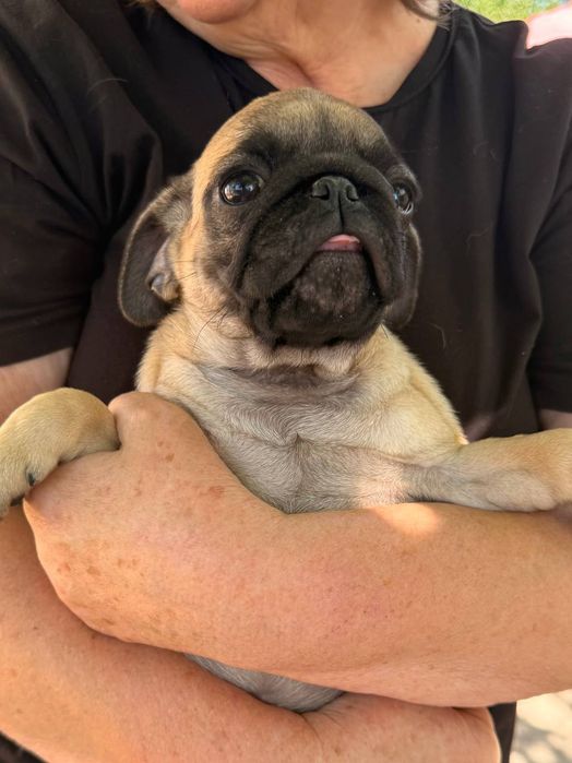 Ищем заботливую семью для девочки