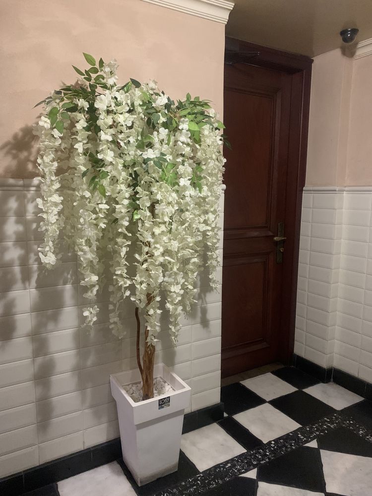 Сдам  Кафе/Ресторан 200м2. Пр Яворницкого .(пр Карла Маркса)