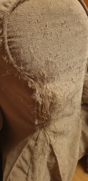 Sofa Ikea Ektorp 3 osobowa, rozkładana