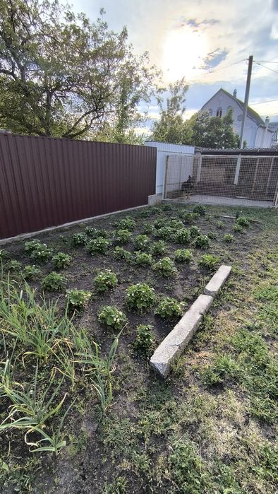 Будинок  р-н Миколаївка