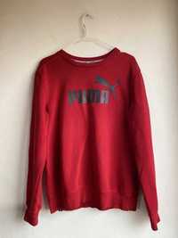 Czerwona bluza z nadrukiem Puma M