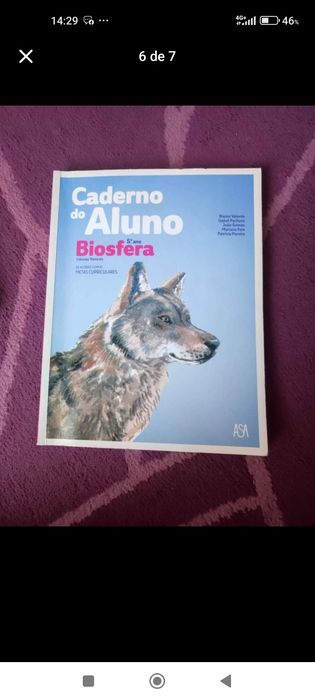 Cadernos de atividades 5° ano de escolaridade