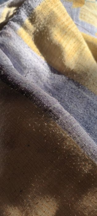 Одеяло 180/200 хлопок легкое теплое