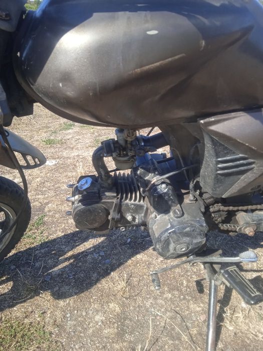 Мустанг дінго 125