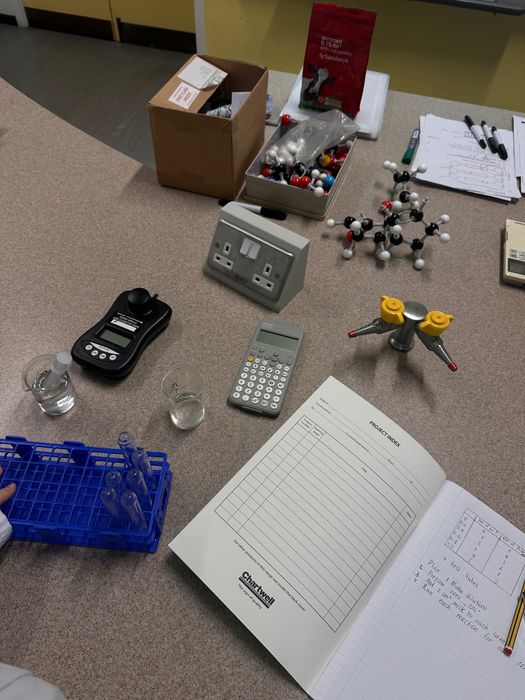 Репититор з англійської мови, учениця Великобританського топового вузу