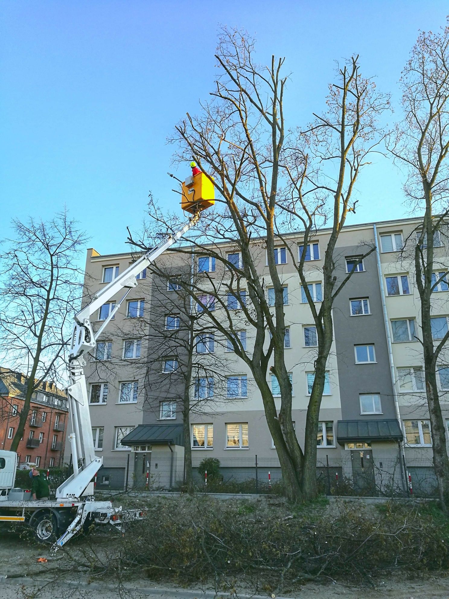 Wycinka drzew, podcinanie drzew, prace wysokościowe i porządkowe.